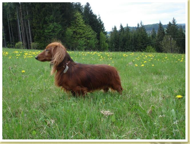 DSC01916