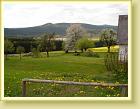 DSC01887