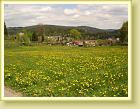 DSC01895