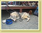 DSC01897