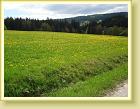 DSC01900