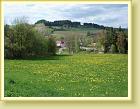 DSC01903