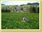 DSC01906