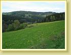 DSC01915